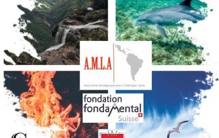 A Story Of Consciousness, Connection & Balance