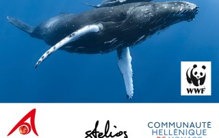 Charity Dinner Donation For A Good Cause