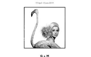 David Bailey Exhibition