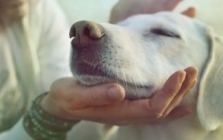 Fairmont Monte Carlo