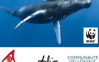 Fundraising To Support The Stelios Philanthropic Foundation