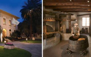 Imperia Olive Museum Tour Followed By Lunch June 29th