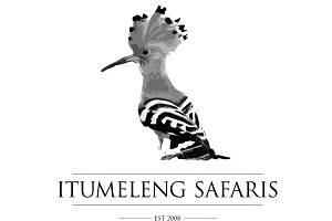 Itumeleng Safaris